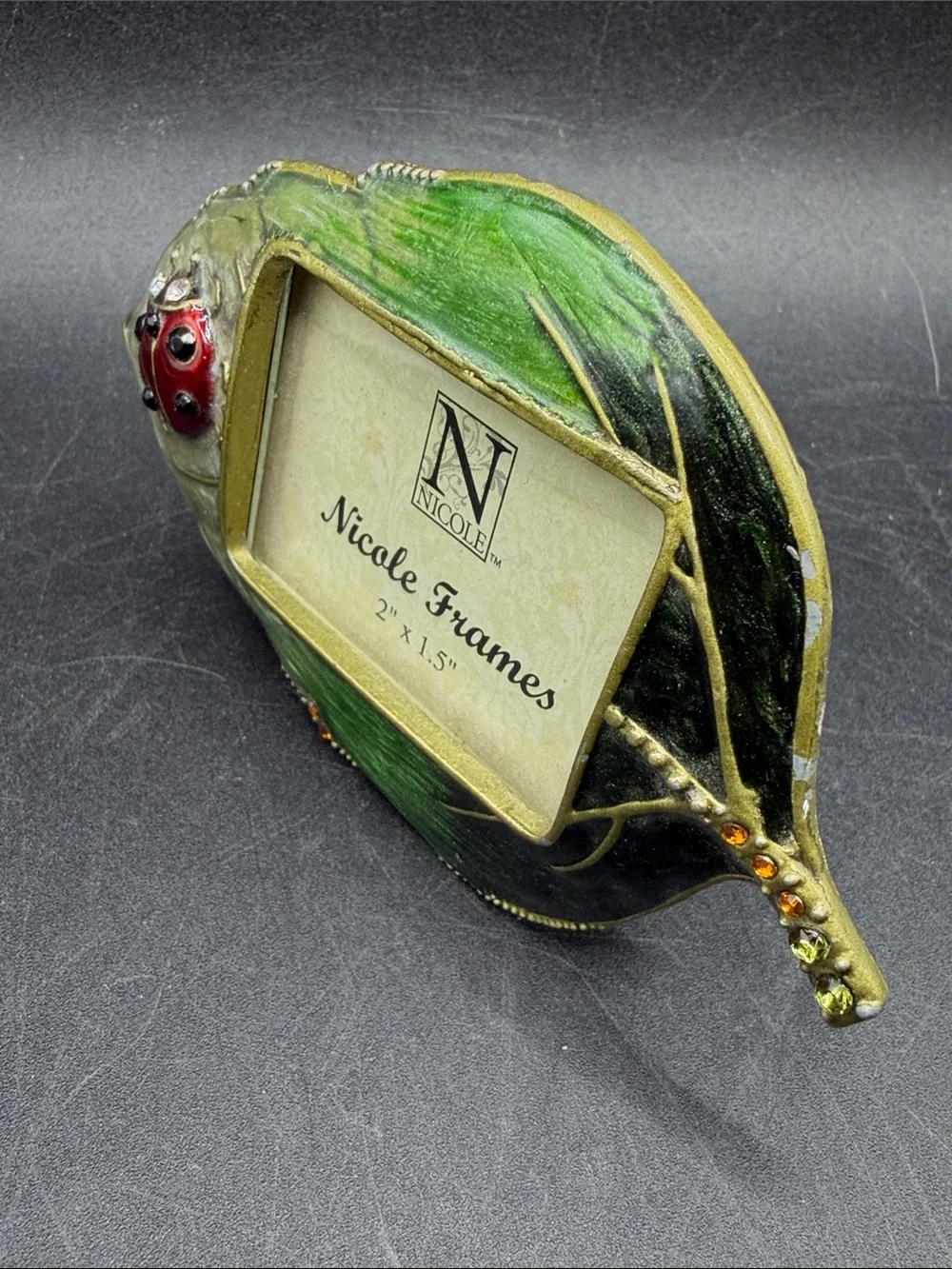 Nicole Frames Ladybug Leaf Enameled Metal Rhinestone Picture Frame Insect Bug